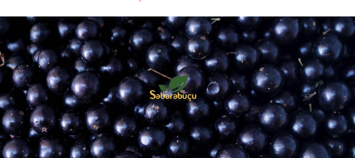 Institucional Sabarabuçu