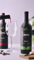 Javine Seco 750ml - Vinho Tinto de Jabuticaba Seco